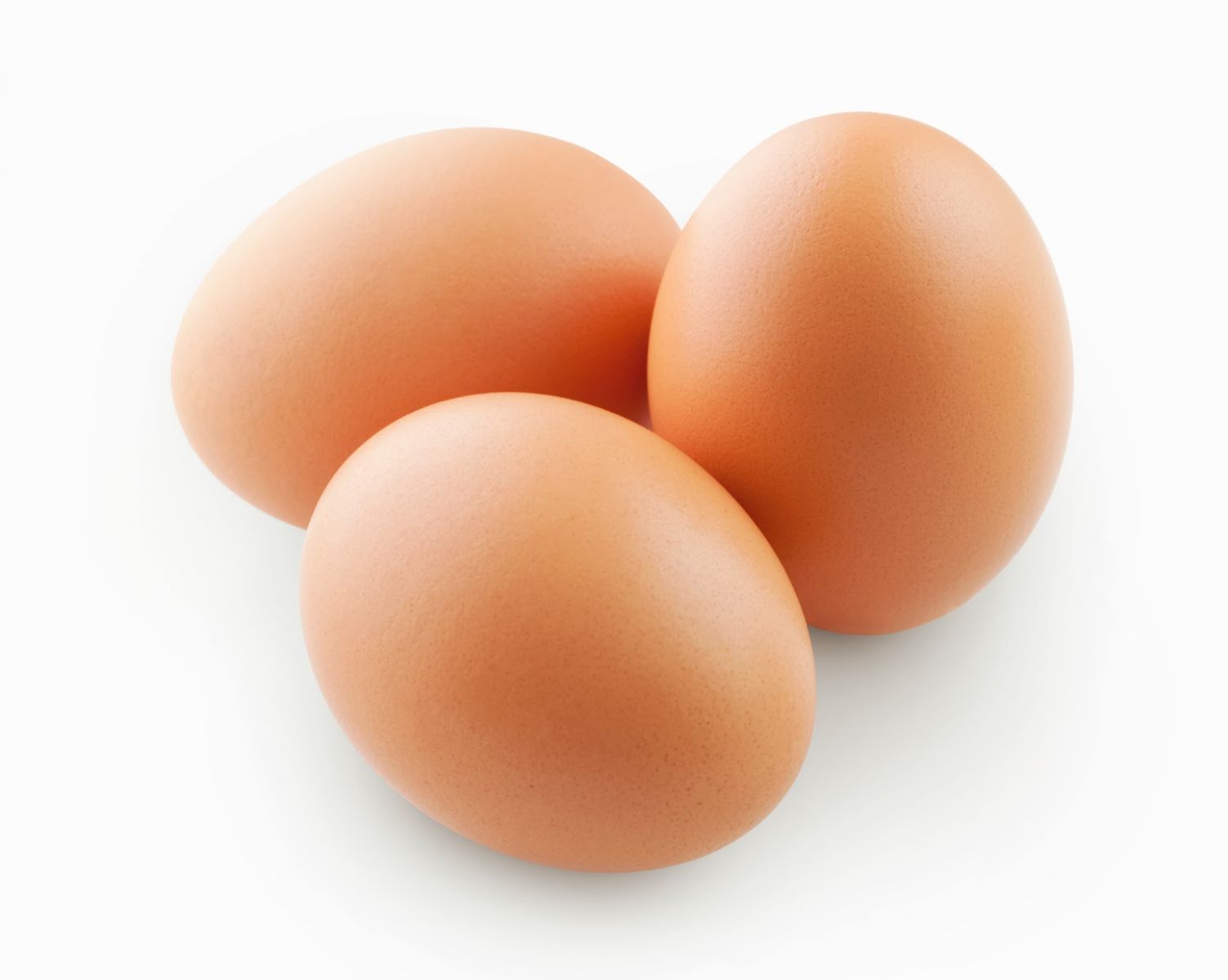 Eggs are rich in Protein
