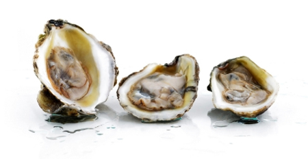 Oyster has high amount of Omega-3 fatty acids